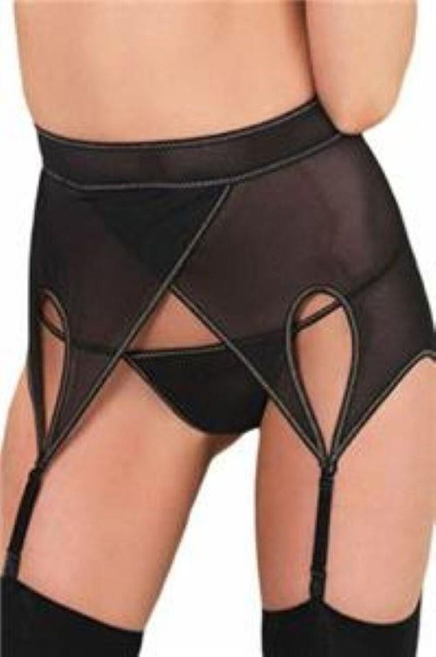 Sheer Garter Belt With Metal Tabs And G String One Size